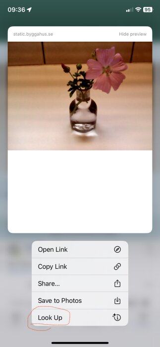 En skärmdump som visar mobilgränssnitt med en blomma i en genomskinlig vas, omgivet av en meny med alternativ som "Look Up".