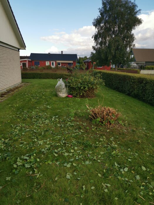 En trädgård med löv på gräsmattan, en påse, buskar och röda hus i bakgrunden under en molnig himmel.