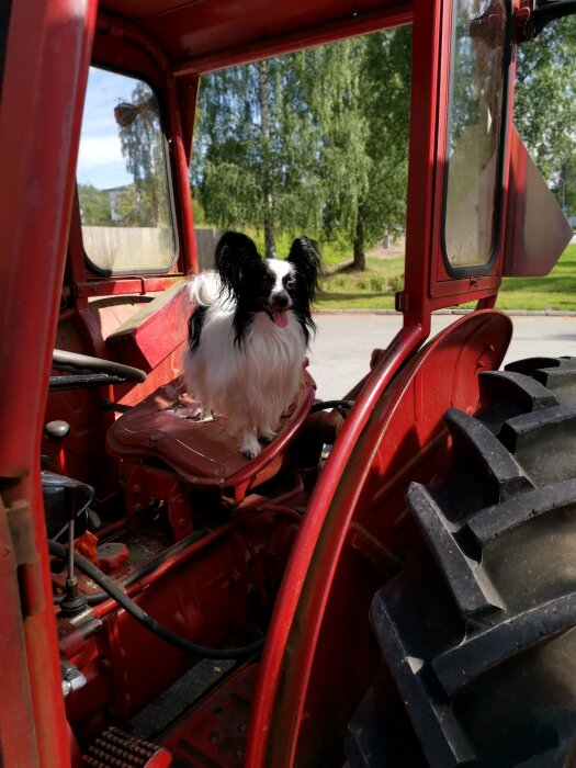 En svartvit hund sitter inne i en röd traktorhytt, omgiven av teknisk utrustning, i dagsljus.