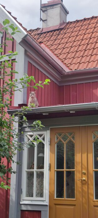 En katt sitter på ett fönsterbleck på ett rött hus med tegeltak.