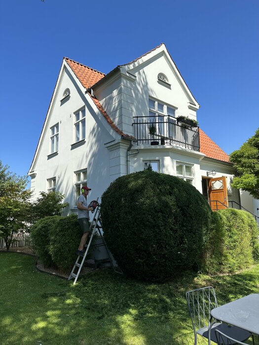 Person på en stege beskär en häck framför ett vitt hus med orange tak på en solig dag.