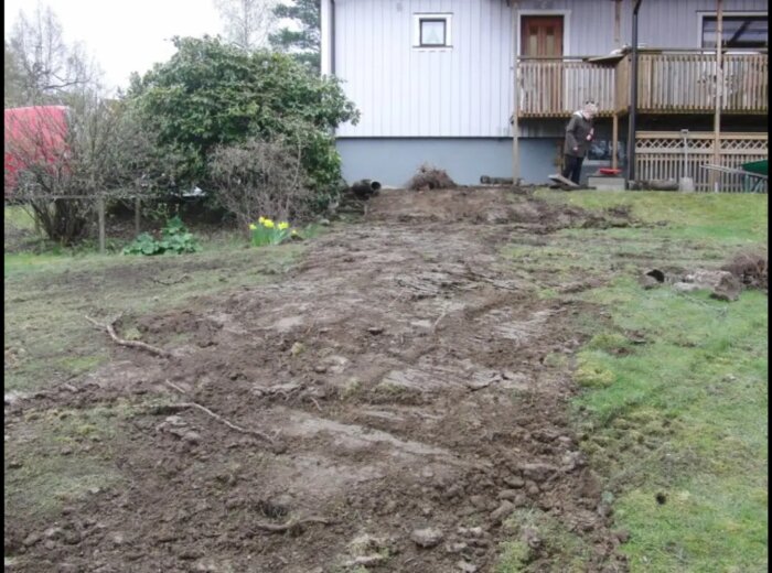 Trädgård med uppriven mark, person på verandan, hus i bakgrunden, grå molnig himmel.