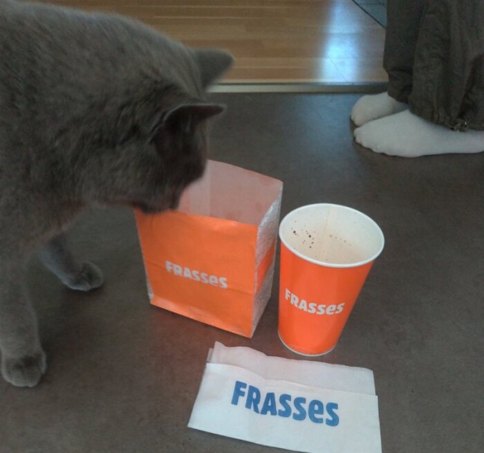 Grå katt nosar på orange papperspåse bredvid mugg och servett med "FRASSES" logotyp.