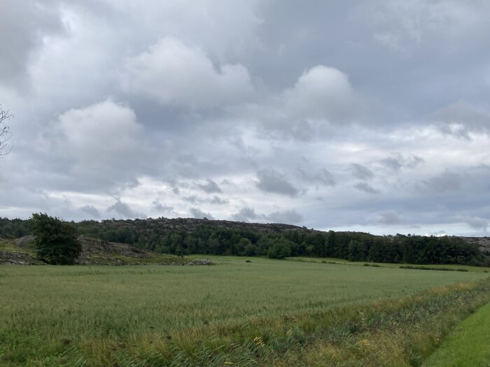 Öppet fält, molnig himmel, kala klippor i bakgrunden, gröna träd, lugnt landskap.