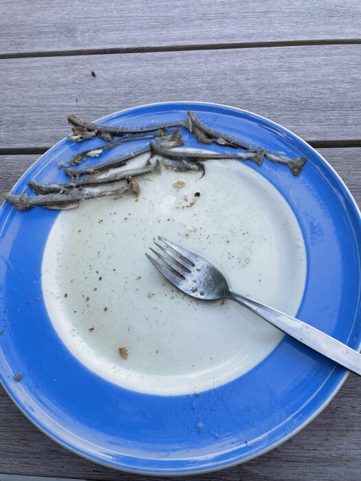 Blå och vit tallrik med fiskben och gaffel på träbord, efter en måltid.