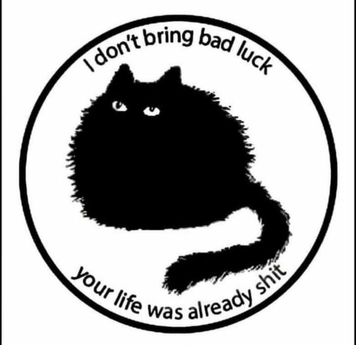 Svart katt med text som förnekar otur, anförer besvikelser om livet. Humoristisk, sarkastisk bild.