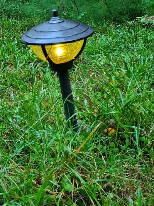 En upplyst trädgårdslampa står i grön fuktig gräsmatta, sannolikt efter regn.