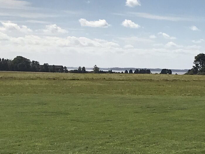 Stort fält, träd, gårdshus i fjärran, molnig himmel, lugnt landskap, dagsljus.