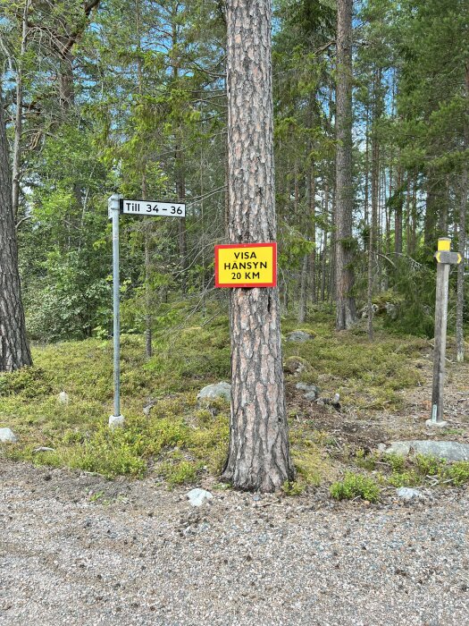 Skyltar i skogen, "Till 34 - 36", gul reflex, "VISA HÄNSYN 20 KM", tall, grus, grön vegetation.