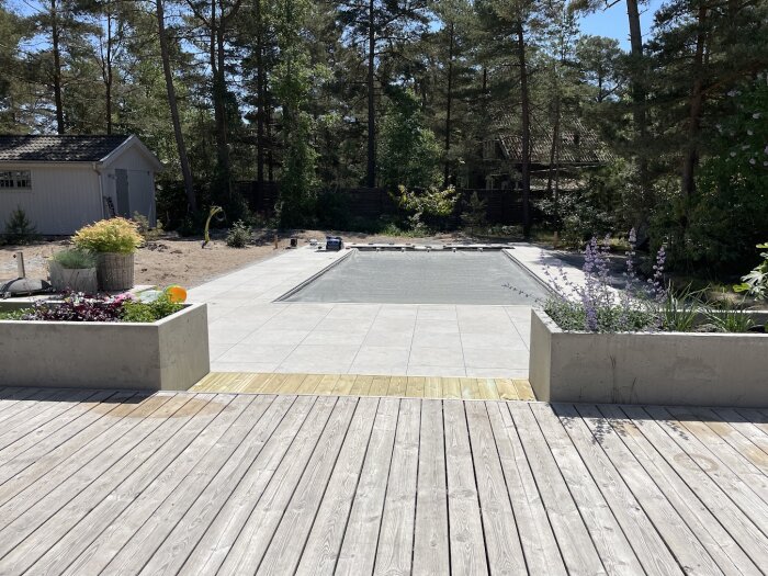 Trädgård med swimmingpool, trädeck, betongplattor, blomkrukor, vegetation, och ett hus i bakgrunden. Sunny day.