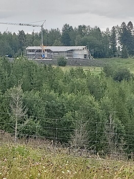 Byggarbetsplats, skog, grå himmel, ställning, lyftkran, gröna träd, staket i förgrunden, gräs, molnig dag.