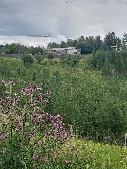 Ett grönt landskap med blommor i förgrunden och en byggnad med kran i bakgrunden under en molnig himmel.