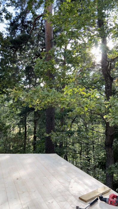 Solstrålar genom träd, byggnadsverktyg på nybyggt trädäck, natur, utomhusarbete, konstruktion i skogsmiljö.