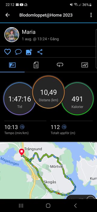 Skärmdump av träningsapp som visar löprunda, tid, distans, förbrända kalorier och karta.