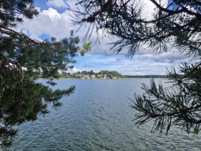 Vy över vatten med barrträd i förgrunden, hus i bakgrunden under delvis molnig himmel.