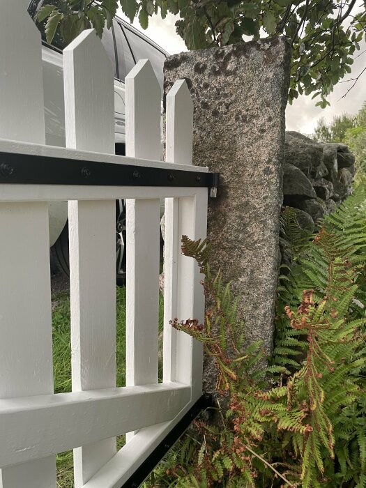 Vitt staket mot grov stenmur, ormbunksblad i förgrunden, möjliga regnmoln ovanför.