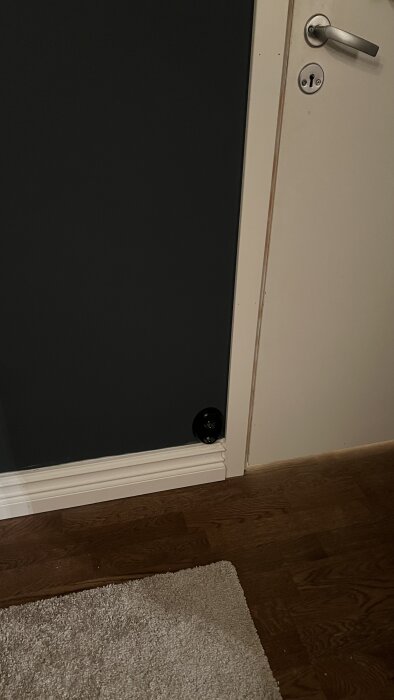 Inomhusmiljö, dörr öppen en aning, svarta katten tittar ut, dörrmatta på trägolv, vit dörrkarm, metalldörrhandtag.