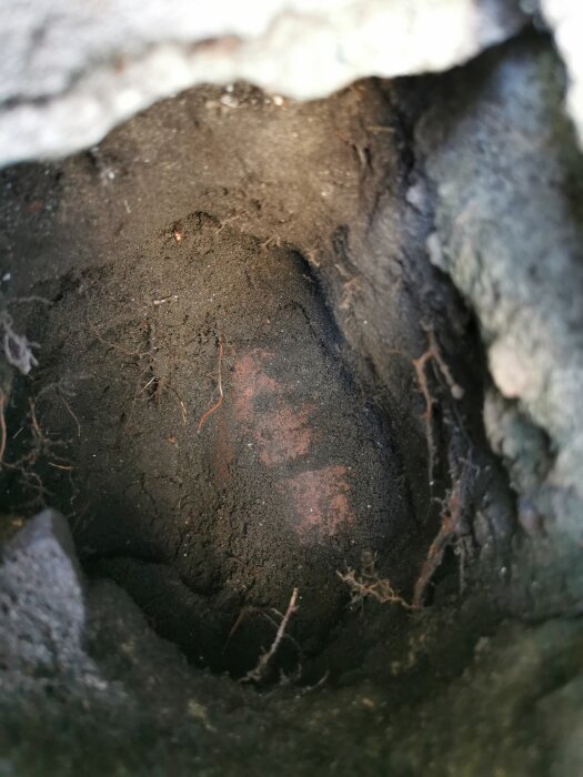 En närbild av ett mörkt hål med jord och rötter, möjligen ett djurbo eller en grottingång.
