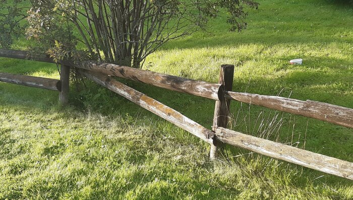 Ett skadat trästaket, grön gräsmatta, buske, soligt, en vit plastbehållare på marken.