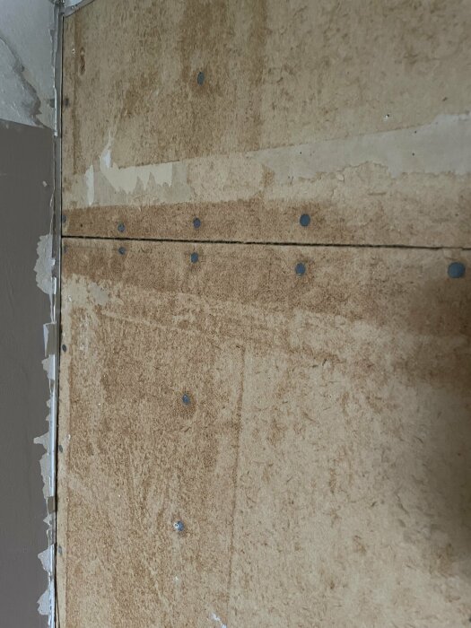Renoveringsarbete, avskalad vägg, bruna spånskivor med blå spikpluggar, ofärdigt inomhusprojekt, byggnadsmaterial.