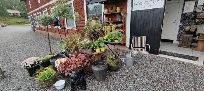 Lantlig gårdsbutik med växter, krukor, trädgårdsdekorationer och en metallhund framför rödmålad träbyggnad.