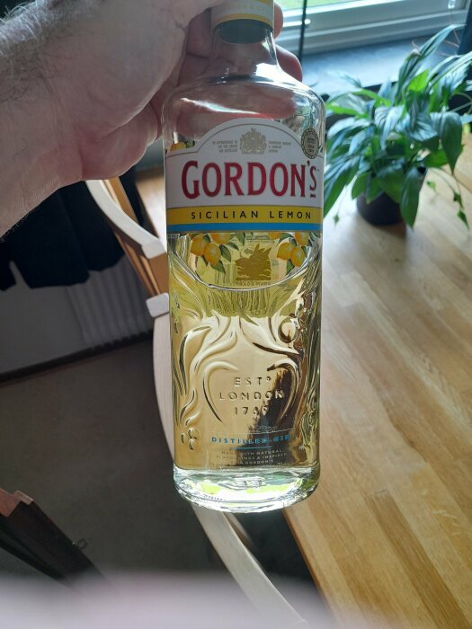 En person håller en flaska Gordon's Sicilian Lemon gin framför ett fönster med en grönpflanza i bakgrunden.