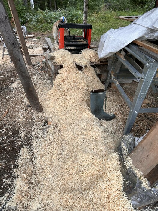 Träspån på marken, sågverk, gröna gummistövlar, utomhus, skogsbakgrund, konstruktion, obehandlat timmer.