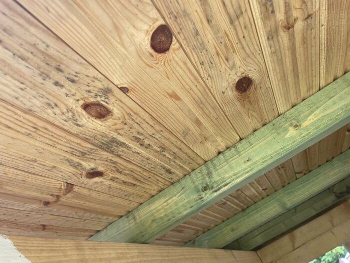 Träbjälkar och paneler i takkonstruktion, synliga ådringar och knutar, ljust trä, troligen utomhus.
