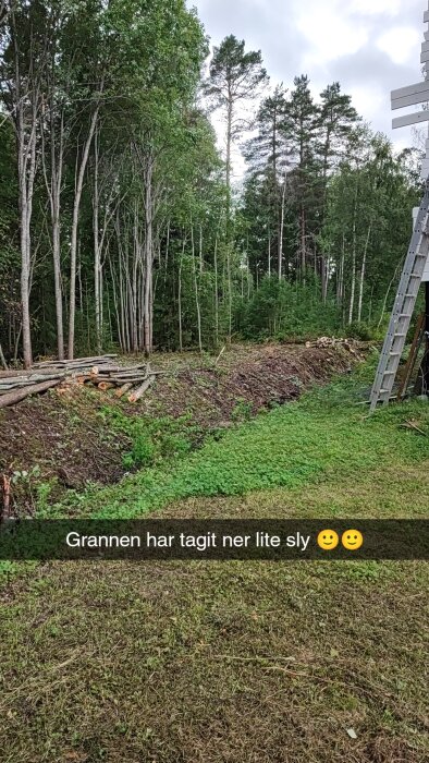 Trädgård med avverkat sly, timmer, grönt gräs och löpstege. Text: "Grannen har tagit ner lite sly 🙂🙂"