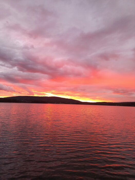 Hav i skymning med levande rosa-orange himmel speglande i vatten, moln överst, mörk silhuett av landskap.