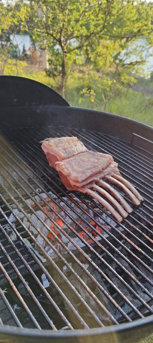 Två lammracks grillas över glödande kol på en klotgrill utomhus med grönska i bakgrunden.