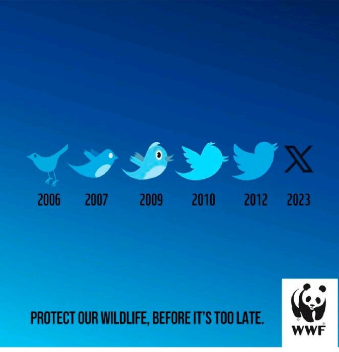 En serie fågelsymboler som förändras över tid, med budskap om att skydda vilda djur, WWF-logo.