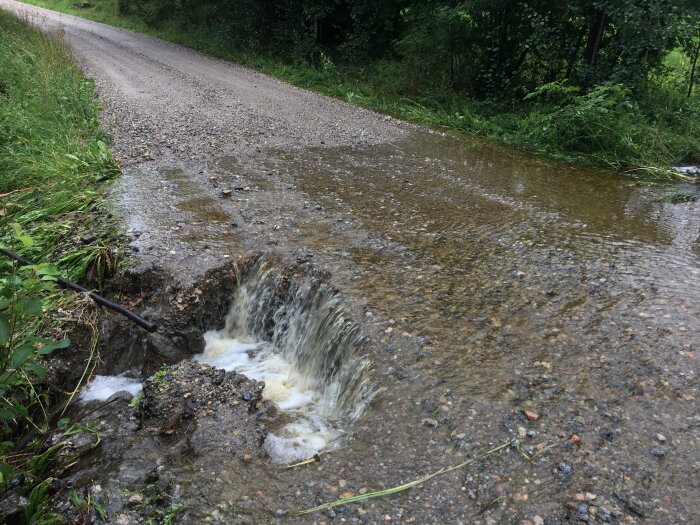 Vatten överväldigar en grusväg, bildar en liten ström, naturen runtomkring, dagtid.