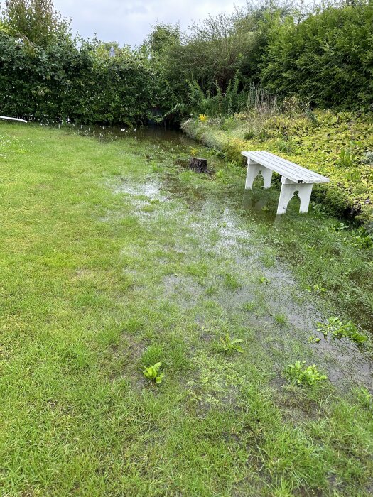 Grön trädgård översvämmad av vatten, vit bänk, buskar, gräs, mulet väder.