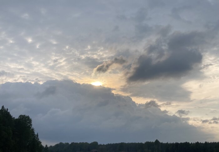 Dramatisk himmel med moln vid solnedgång och skogssilhuetter längst ner.