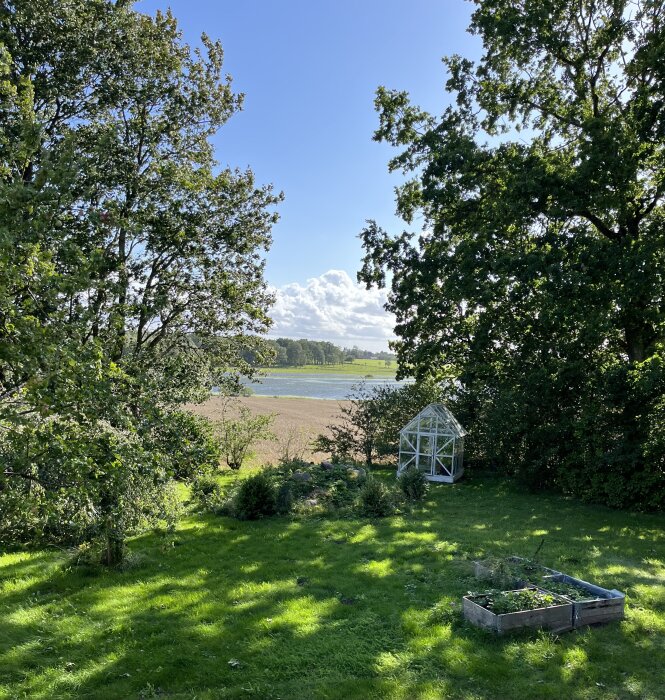 Lummig trädgård, växthus, upphöjda odlingslådor, öppet landskap, soligt väder, moln på himlen.