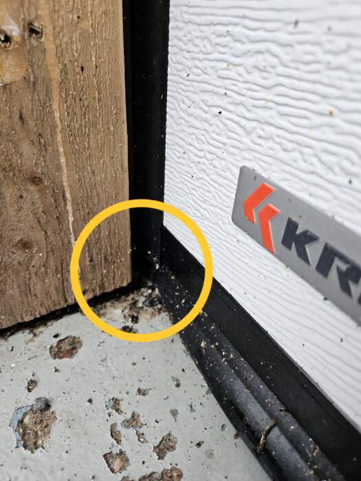 Skadat hörn vid dörrpost, trä och svampväxt med gul markering.