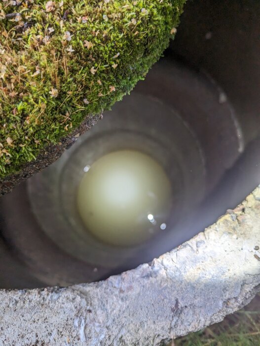 Bild av betongrör med mossa, inuti syns mörkt vatten. Diffust ljus reflekterar på vattenytan.