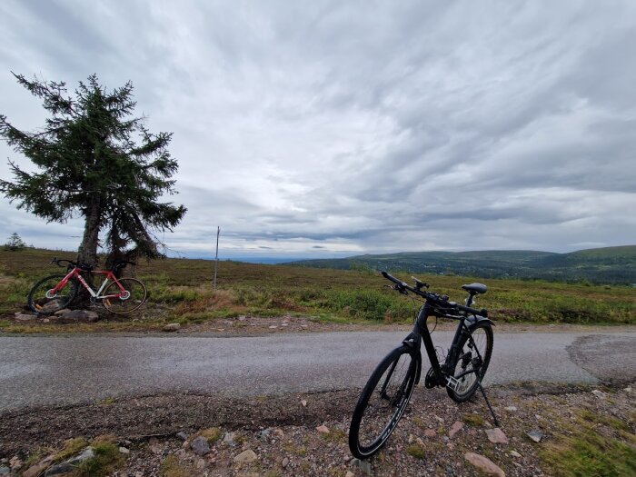 Två cyklar vid en väg, en krokig gran, öppet landskap, molnig himmel.