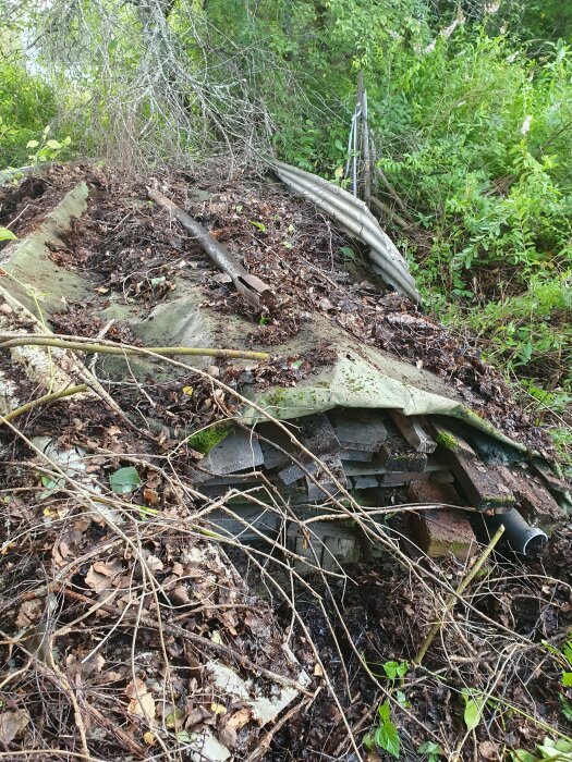 Övergiven, nedfallen struktur i skogen, täckt med växtlighet och löv. Nedbrytning och förfall i naturen.