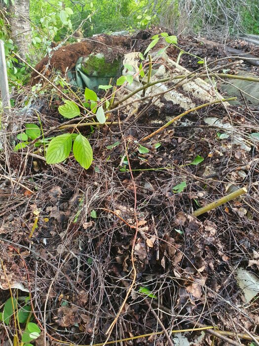 Övergiven, mossa-täckt stol i skog, omringad av döda löv och grenar.