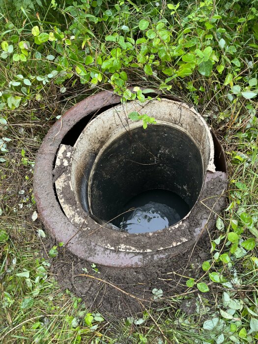 Öppen brunn, vatten inuti, omgiven av grönska och gräs, cementringar, jordig mark.