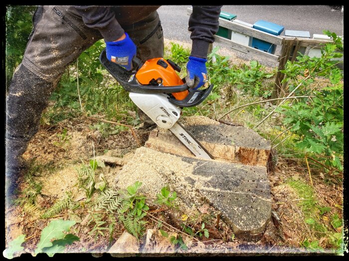 Person sågar stock med motorsåg utomhus, skyddskläder, flis flyger, naturbakgrund.
