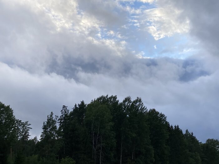 Molnigt landskap med träd silhuett, potentiellt före regn, med blå himmel som glimtar igenom.