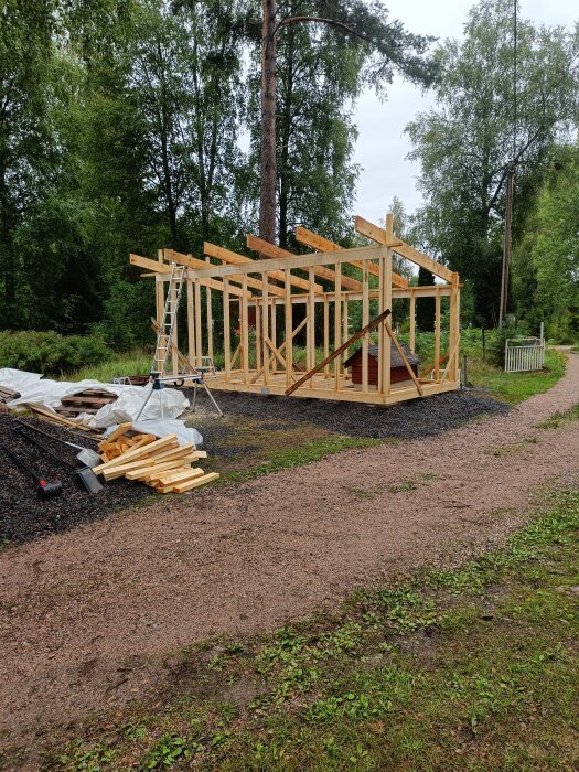 Träkonstruktion, byggarbetsplats, skogsbakgrund, stege, virke, grus, pågående byggprojekt av liten träbyggnad utomhus.