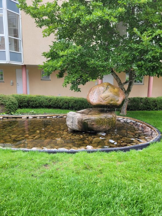 En liten damm med stenar, omgiven av grönt gräs, nära en byggnad och ett träd.