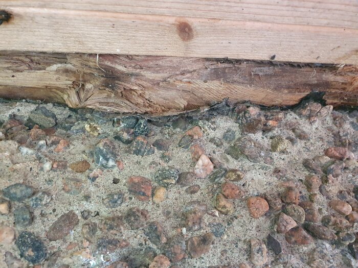 Sprucken träbjälke möter grovkornigt, stenblandat golv. Tecken på fukt och nedbrytning.