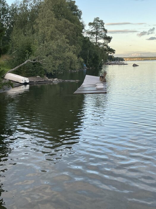 Sjöutsikt, träd, brygga, båt, spegelblankt vatten, kvällsljus, lugn naturmiljö.