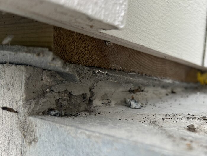 Närbild av nedsliten husgrund med skadad betong och träbjälke. Smuts och spillror syns. Behov av reparation.