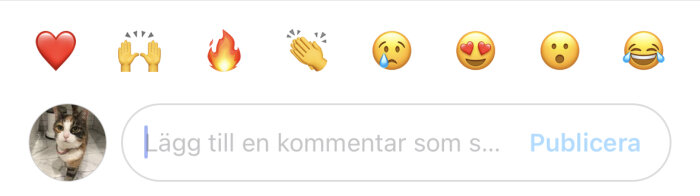 Sociala medier, kommentarsfält, emojis, hjärta, applåder, eld, gråtansikte, kär ansikte, förvånat ansikte, skrattansikte, profilbild på katt.